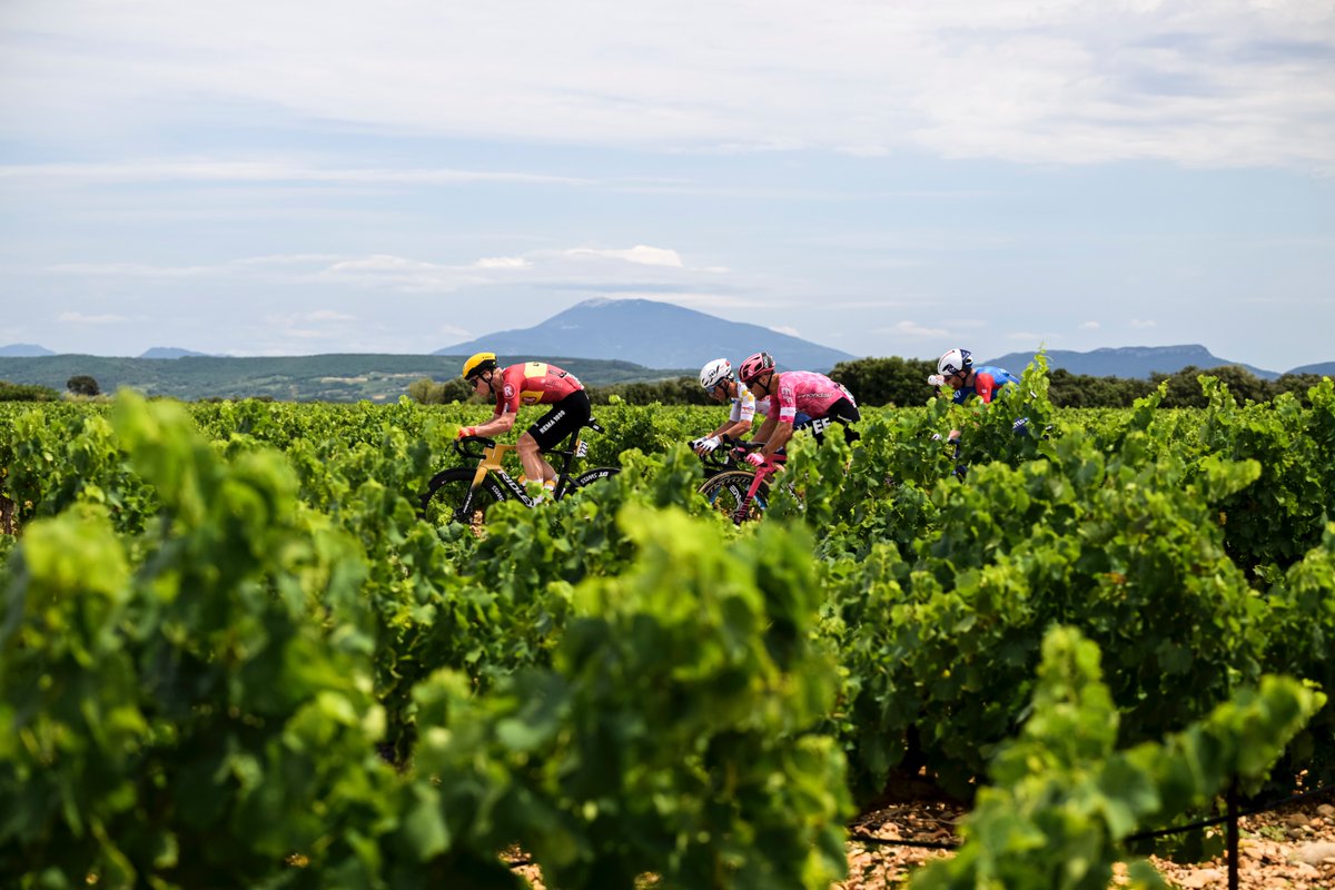 letour_de's tweet image. ๐ 66 km โฑ๏ธ 1'05''
๐ท Nach kurzer Eskalation ist wieder Ruhe im Rennen eingekehrt.
#TDF2025