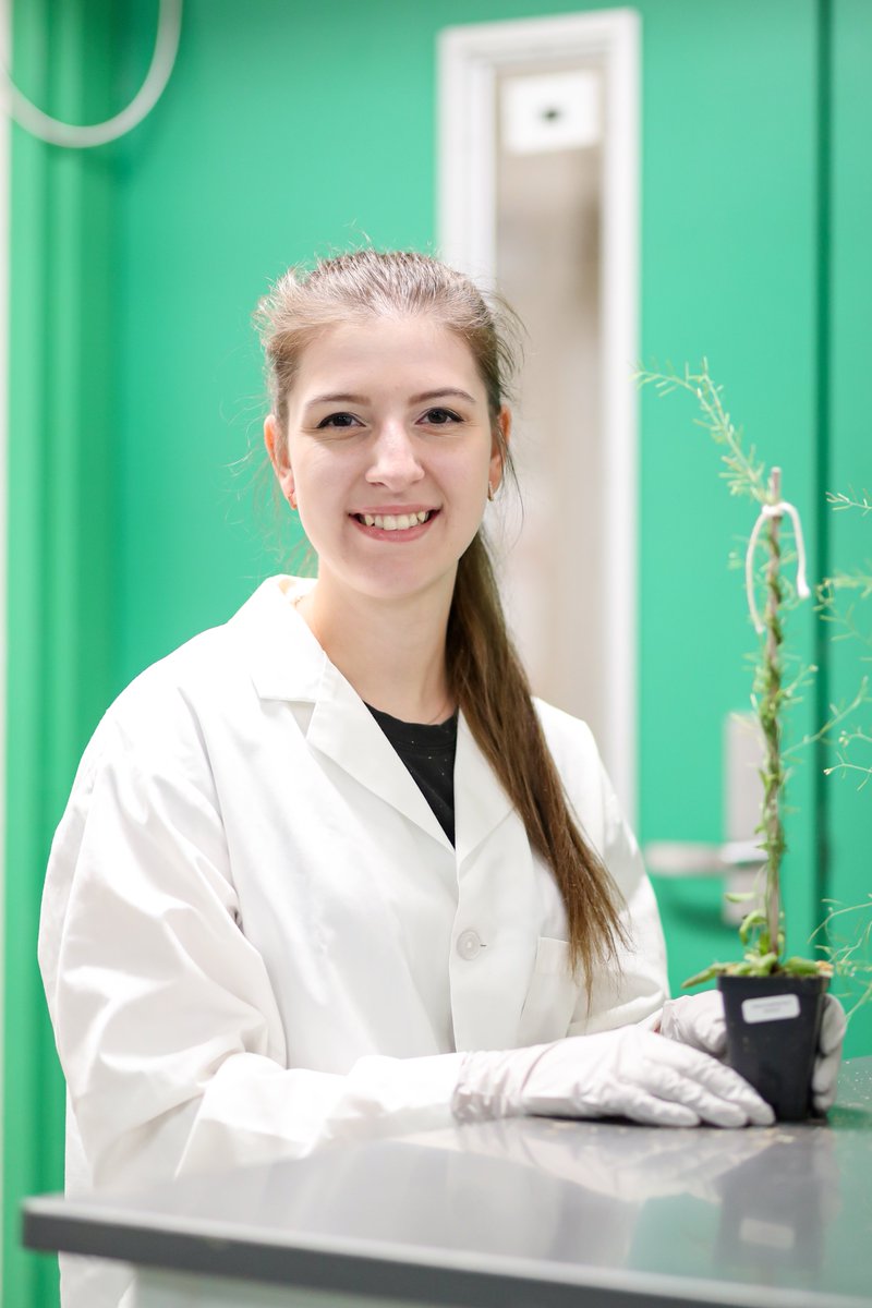 Brandizzi Lab (@msubrandizzilab) on Twitter photo Nastia Buryak joined our lab for a summer research experience last year, and this Friday she is defending her honors thesis at <a href="/AthensState/">Athens State</a>. Congrats, Nastia! We are proud to have played a small part in your scientific journey. #BrandizziLab Nastia Buryak joined our lab for a summer research experience last year, and this Friday she is defending her honors thesis at <a href="/AthensState/">Athens State</a>. Congrats, Nastia! We are proud to have played a small part in your scientific journey. #BrandizziLab