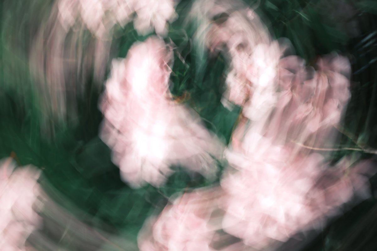 fusumaaa's tweet image. 正解がわからないけど今はぶらしたい
たのしい◎