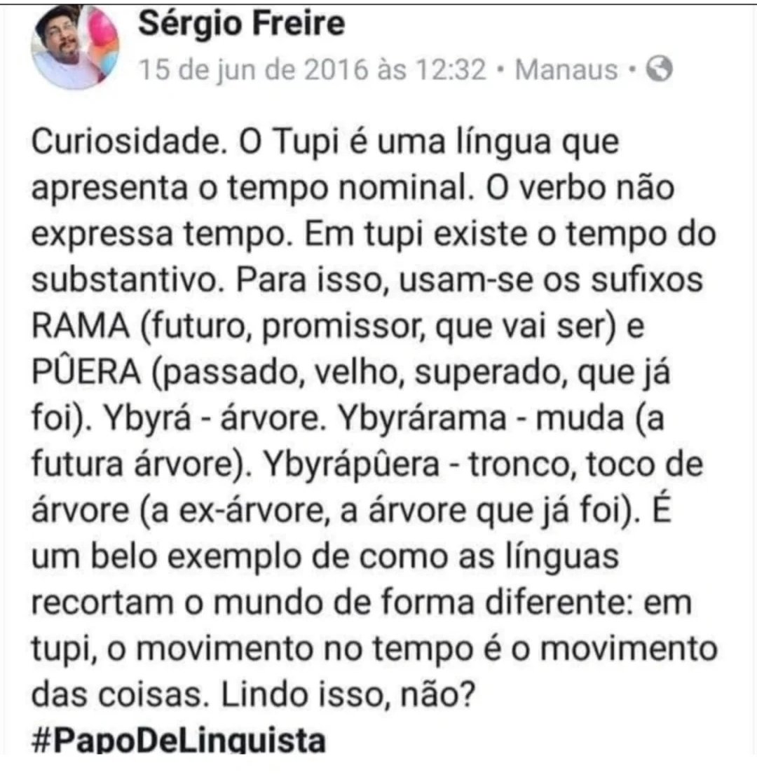 lucasnatpho's tweet image. Achei isso muito interessante. Acho que os indígenas estariam naturalmente muito mais alinhados à direita do espectro político do que à esquerda se eles não fossem feitos de massa de manobra pelo PT e PSOL há anos. Eles defendem suas tradições, não são progressistas.
