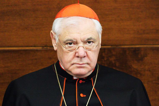 cathconclave's tweet image. Catholic Conclave: Cardinal Müller criticises German bishops for caving in to pro-abortion ideology. Magnificent statement. #CatholicX @ProtecttheFaith cathcon.blogspot.com/2025/07/cardin…