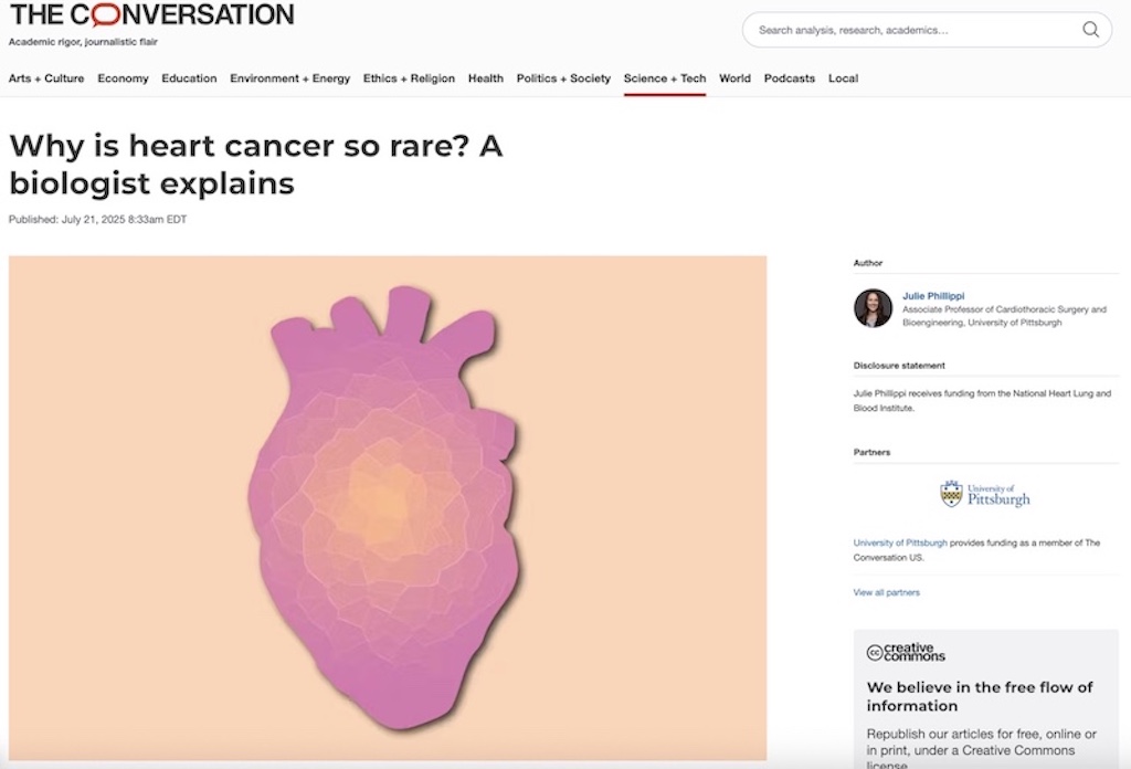 UPMC_CTSurgery's tweet image. 📰🔗 Featured article by Dr. Julie Phillippi in &quot;The Conversation&quot;: Why is heart cancer so rare? A biologist explains inside.upmc.com/b49io5c-t via @UPMCnews 
@JuliePhillippi @ConversationUS #HeartDisease