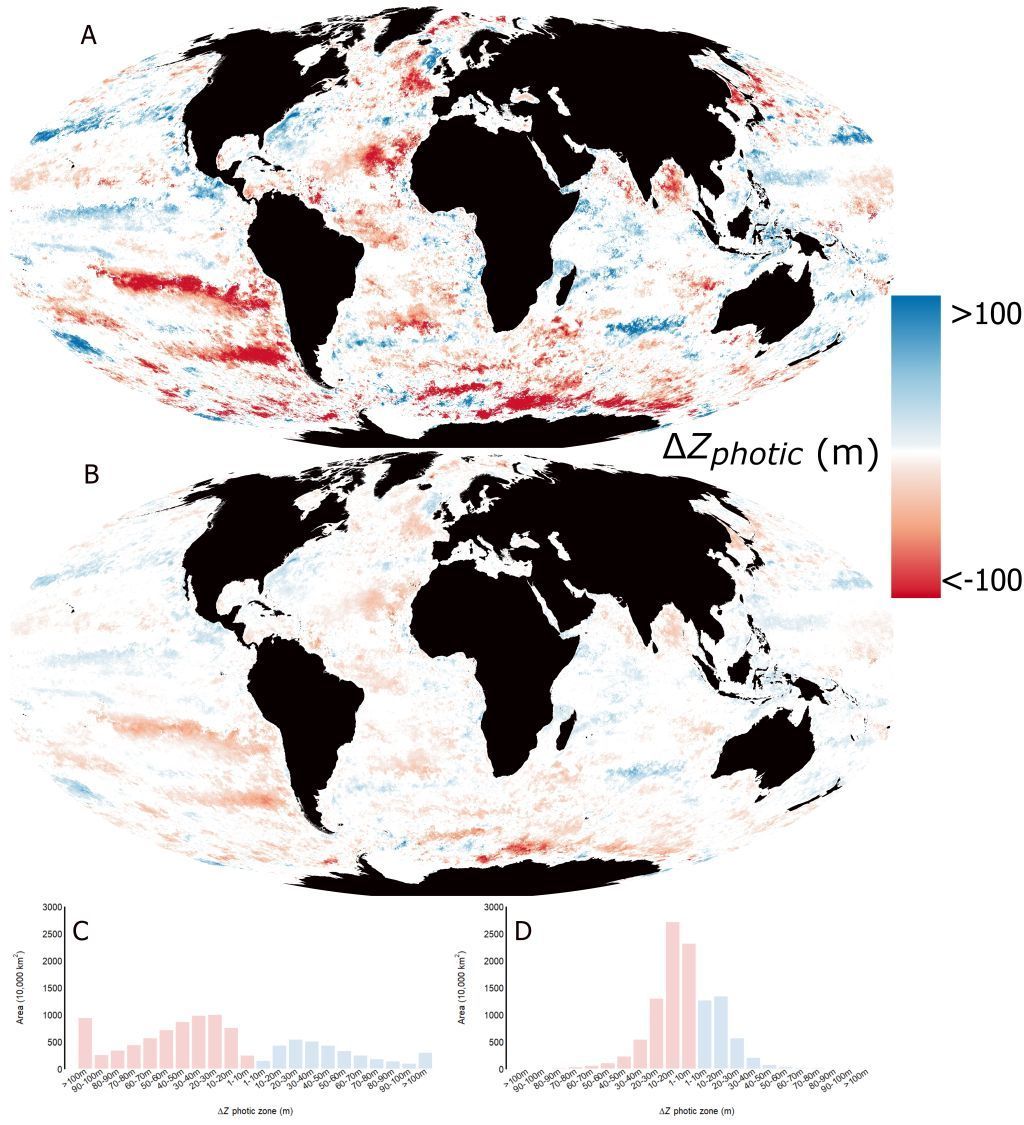 GlobalChangeBio's tweet image. Synthesis of Population Trends Reveals Seascape‐Wide Reorganisation of Biodiversity From Microalgae to Birds 

🔗 buff.ly/OrBu9Xm