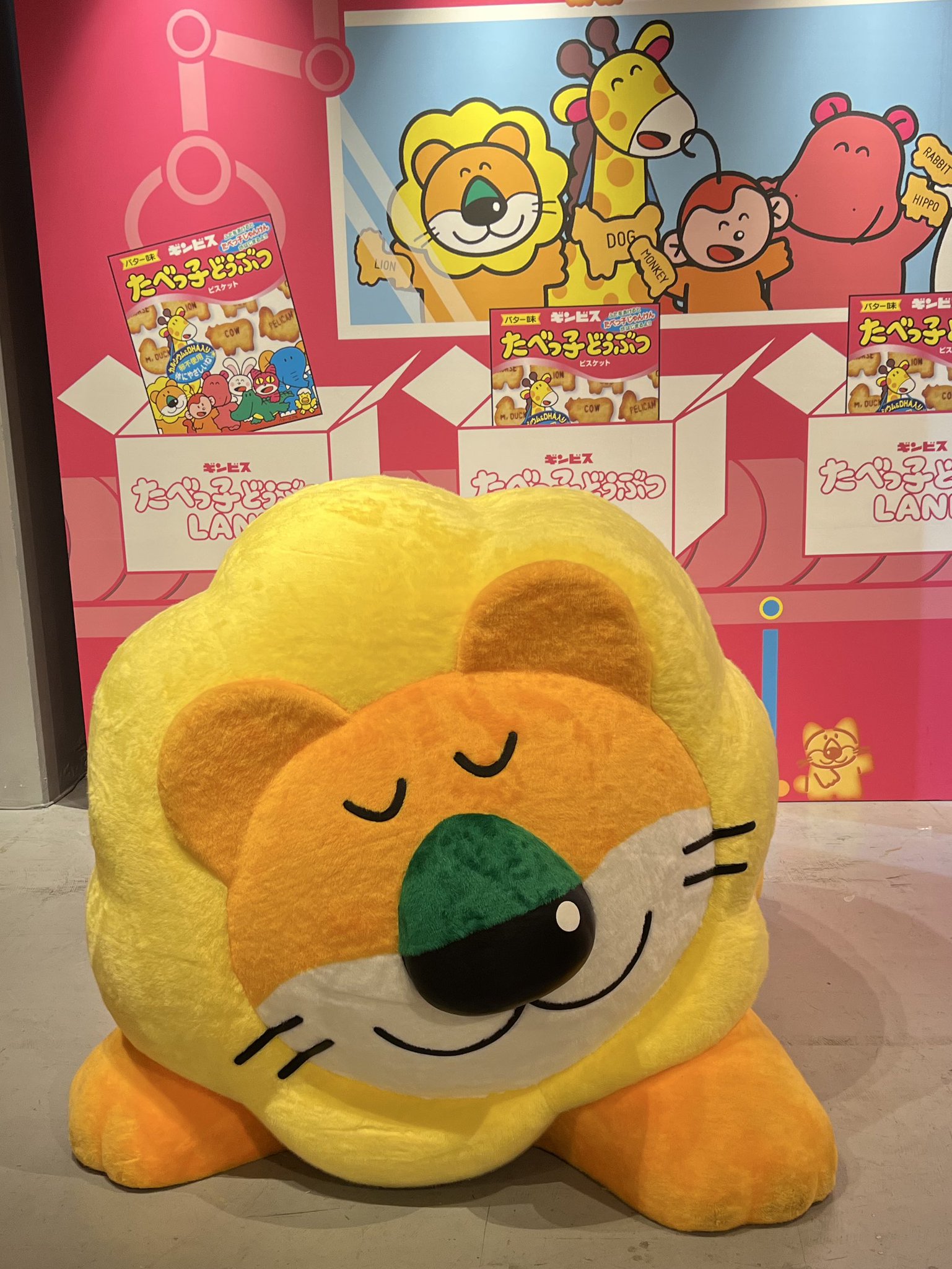 ほっぺた様ご確認用☆かわいいどうぶつのミニブーケ ありがとう Thank you みゃーこ on X: 