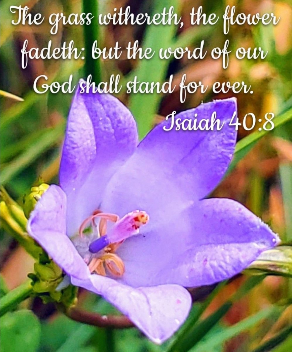 invasion2020's tweet image. Books, commentaries and church documents written by man will be forgotten, but not God's word!