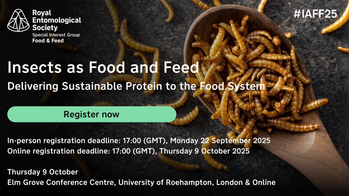 RoyEntSoc's tweet image. Looking to attend #IAFF25 and network with professionals in the fields of #FoodProduction, #InsectRearing, ethics and #Entomophagy?
Register for the Insects as Food and Feed SIG meeting before 17:00 (GMT), Monday 22 September 2025 to secure your spot 🔽
royensoc.co.uk/event/iaff25