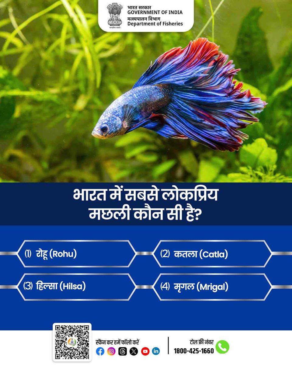 FisheriesGoI's tweet photo. क्या आप जानते हैं?
भारत में सबसे लोकप्रिय मछली कौन सी है?
अपना जवाब चुनें और हमें बताएं! 👇
1️⃣ रोहू (Rohu)
2️⃣ कतला (Catla)
3️⃣ हिल्सा (Hilsa)
4️⃣ मृगल (Mrigal)
#FisheriesIndia #मत्स्यपालन #FishPoll #KnowYourFish #BlueRevolution #Rohu #Catla #Hilsa #Mrigal https://t.co/LRJYORPEkc
