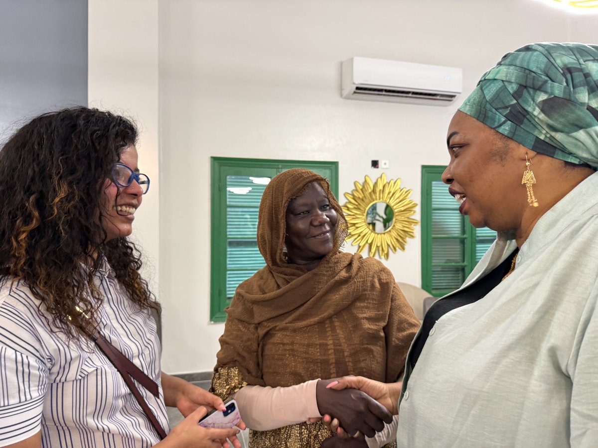 UNDP_Sudan's tweet image. As hate speech and trauma continue to affect daily life in #Sudan, women peacebuilders are working to respond.
Supported by @MPTFOffice & the Peace Commissioner, @UNDP held a workshop to build women’s capacity to counter harmful narratives, promote healing & foster local peace.