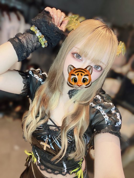 サキュバスシーシャ 1LDK-Darkness-札幌