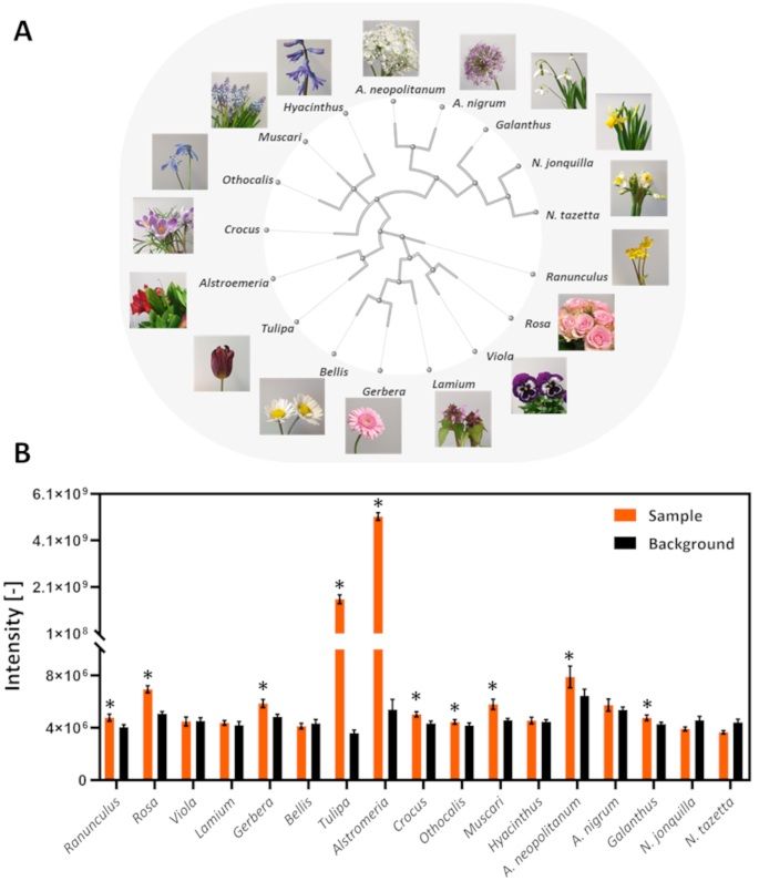 sci_plant's tweet image. Rapid detection of Tulipalin A with SESI-Orbitrap MS: an exploration across spring flowers
plantmethods.biomedcentral.com/articles/10.11…
♻️