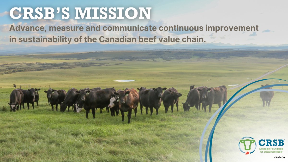 CRSB_beef's tweet image. CRSB's mission is to support sustainable beef production from farm to fork. We collaborate with industry partners to ensure that beef farming practices are environmentally sound, socially responsible, and economically viable.