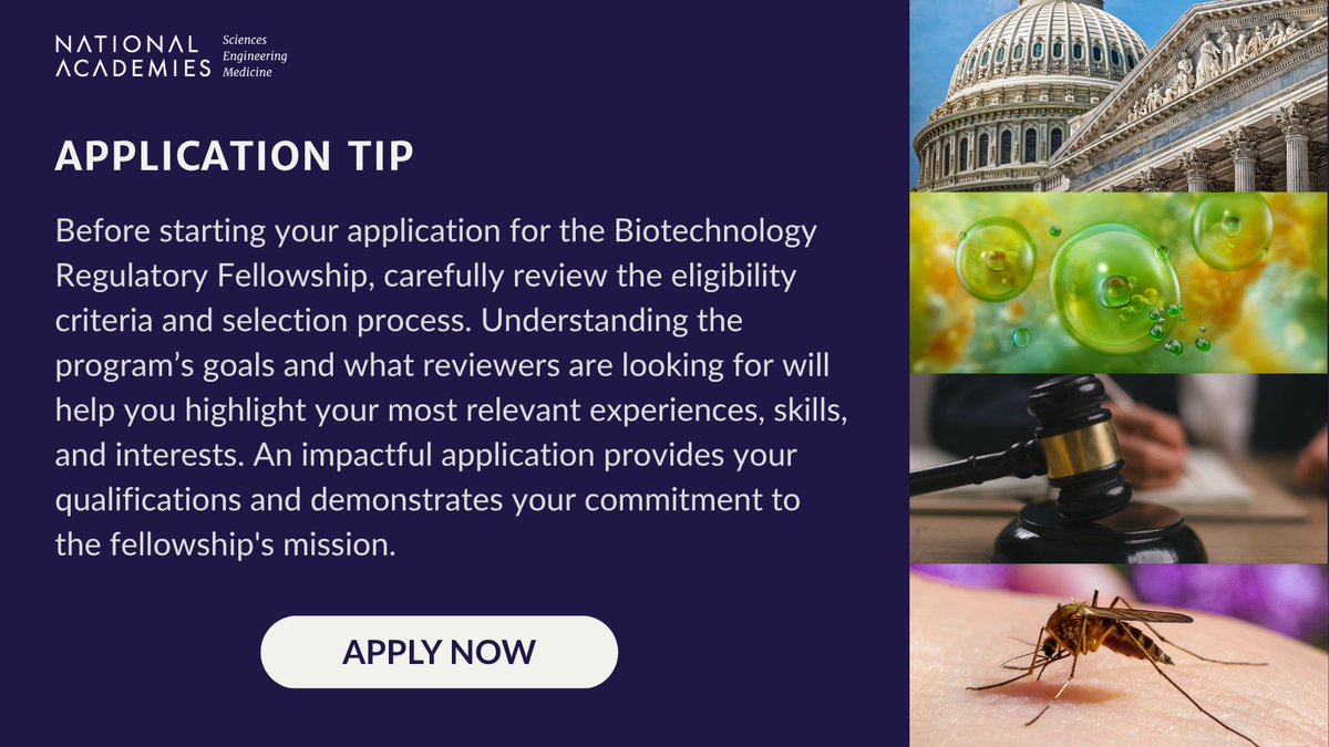 NASEM_BioRegFS's tweet image. Application Tip: Help your application stand out! Review the eligibility requirements for the Biotechnology Regulatory Fellowship and tailor your responses to align with the program’s goals.
Apply now - ow.ly/NLU950Wh4GX
#BiotechnologyFellowship #RegulatoryPolicy