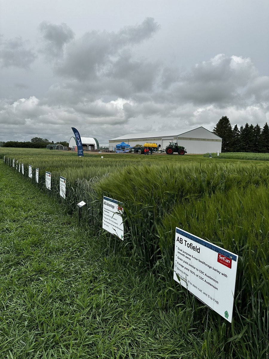 SeCanEzri's tweet image. It’s plot season!! Things were looking good in Lacombe at @WestCropInnvtns

@SeCan