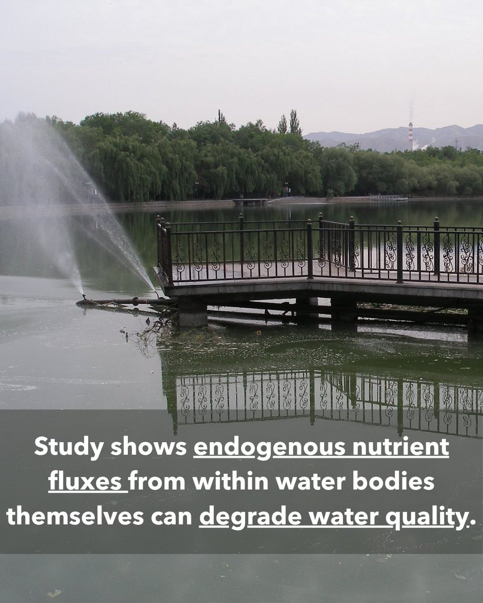 Pollution is a driving source of poor water quality around the world. Yet, when water pollution is brought up, some assume it always originates from an outside source.

Learn more about the study ➡️  lakescientist.com/research-brief…

PC: Adapted from politizer via Flickr.