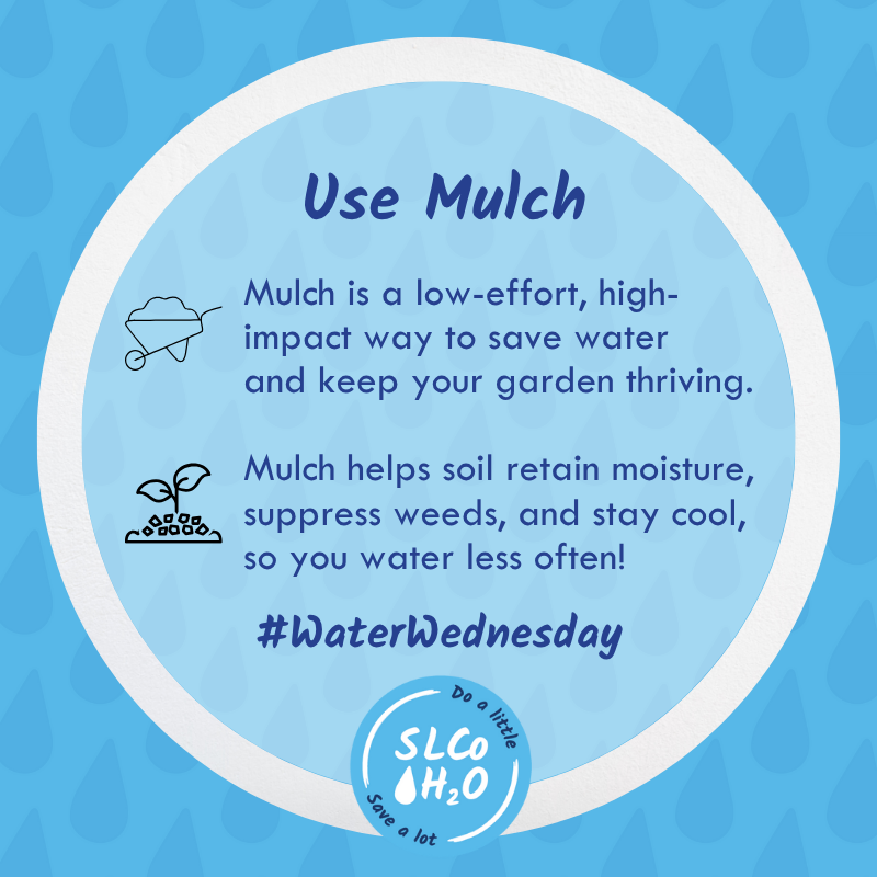 🌿 It’s #WaterWednesday! Looking for an easy way to keep your garden healthy while using less water? Mulch helps water stay where your plants need it most, while reducing weeds and evaporation.

#SustainableSLCo #WaterWednesdayreducing