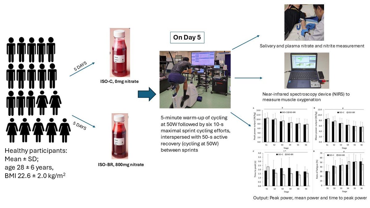 #mdpibeverages Read the Highly-Cited Paper! 
Five-Day Supplementation with an Isotonic Beetroot Juice Drink Improves Sprint Interval Exercise and Muscle Oxygenation in Physically Active (...)
brnw.ch/21wUmDk
<a href="/MDPIOpenAccess/">MDPI</a> <a href="/MDPIbio/">MDPI BiologyLifeSci</a> <a href="/Scilit_/">Scilit</a> 
#beverages #drinks #food