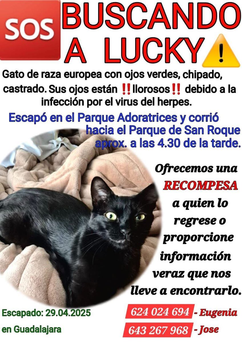 adoptagdl's tweet image. #EXTRAVIADO #RT 🙏🏼