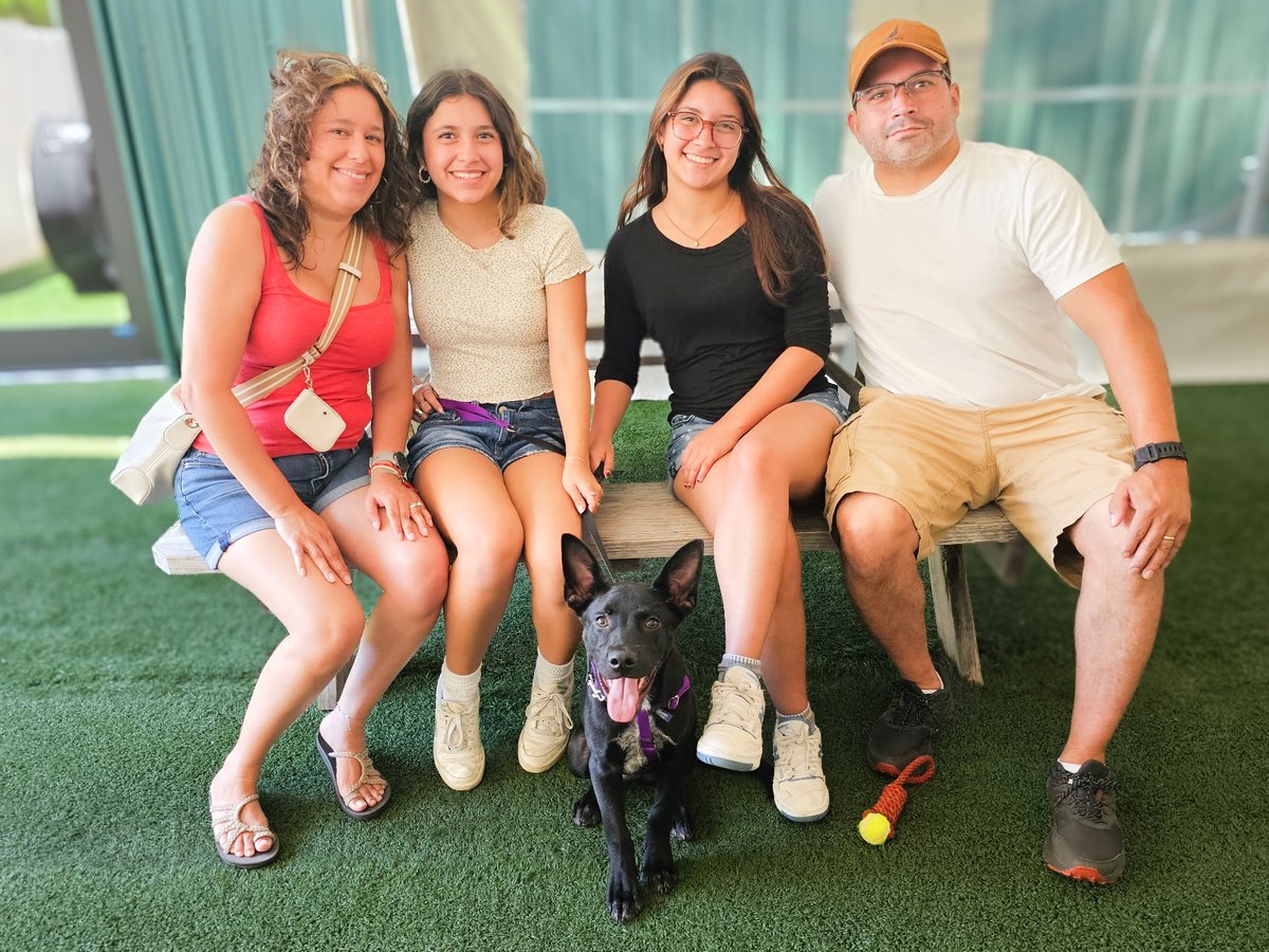 🎉 Tate has been adopted! 
Avani’s sweet brother has found a loving home of his own. While these two are heading off to different families, both are starting wonderful new chapters full of love and care.
Thank you to Tate’s new family for giving him the happy life he deserves!