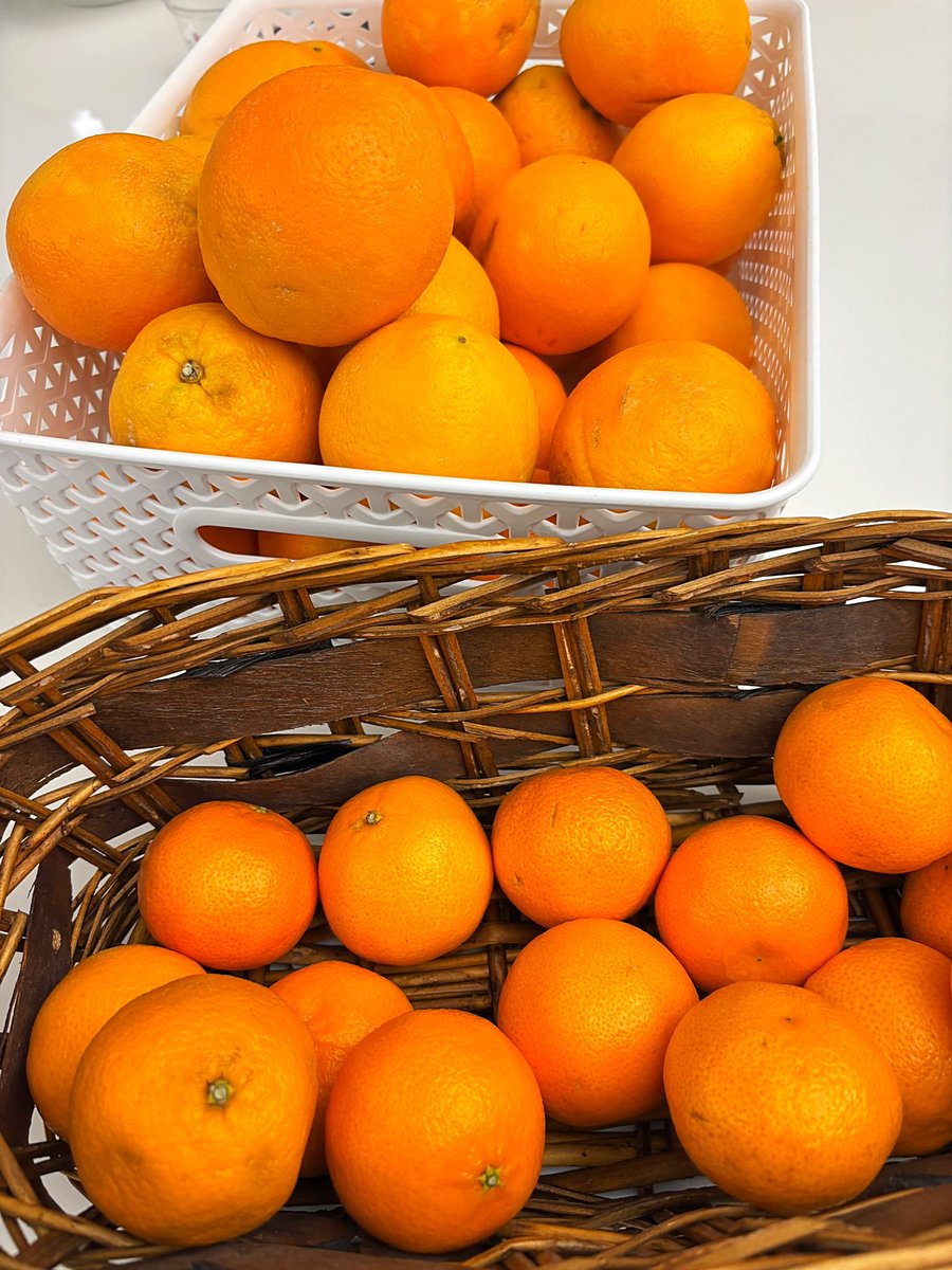 Happy Humpday from the kitchen at <a href="/NEWSMAX/">NEWSMAX</a> HQ in … Florida (of course!) 🍊