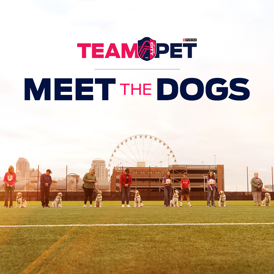 stlCITYsc's tweet image. Who's your pick for our first official Team Pet?
Meet the dogs training to earn a spot on our roster, and a special place in MLS history.
Watch full video profiles on each dog and their handlers
on YouTube now.
📺 youtube.com/playlist?list=…
#AllforCITY | @Purina
