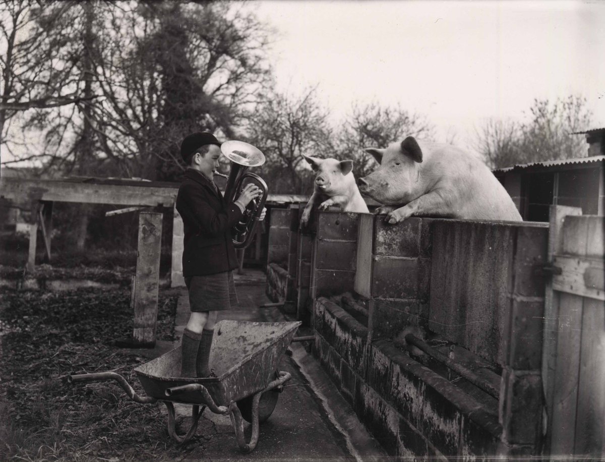 WSCCNews's tweet image. View thousands of local historic images online from our West Sussex Record Office, as well as access research guides and resource packs. Find out more here : orlo.uk/3JSHg