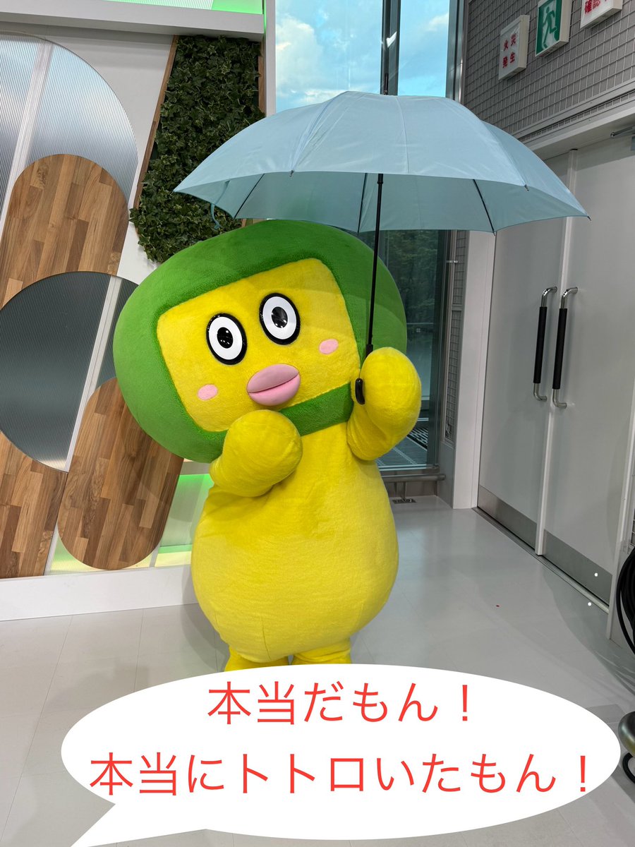 caesarTadashi's tweet image. 危険な暑さが続いていますね🫠
さて、明日7/24(木)の宮城県は
✅晴れる🌤️が昼頃からは雨や雷雨の所も⛈️
天気の急変に注意⚠️
✅最高気温は今日よりやや⤵️
明日も全域で30度以上に💦
内陸部は35度以上の猛暑日に🫠
明日も熱中症に警戒を🚨
#やっぺぇ #てれまさ #宮城県
