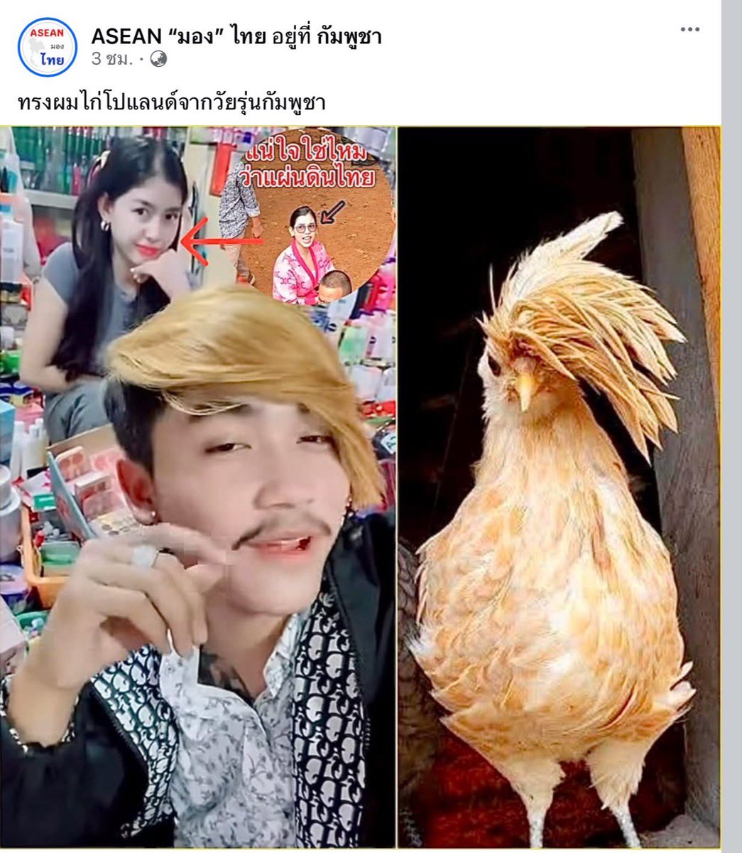 Always รักตลอดไป tweet media