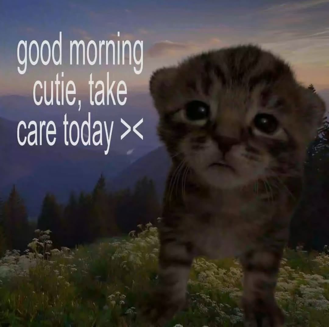 ThatsBink's tweet image. Good morning everyone ☺️ Today is a day to work on some warhammer orks