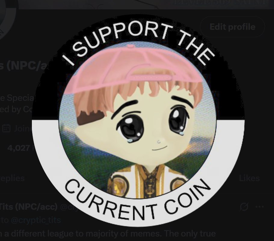 Cryptic Tits (NPCmaxxing) tweet media