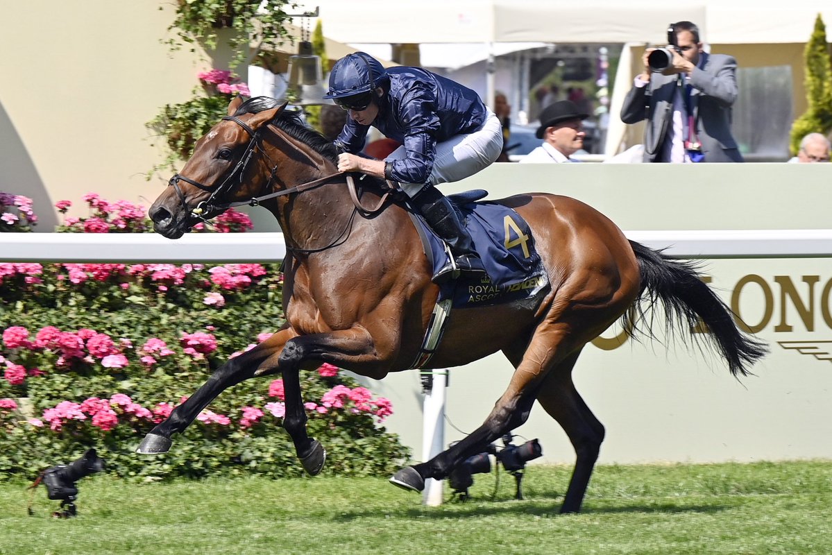 DeutscherGalopp's tweet image. Aidan O‘Brien just supplemented GARDEN OF EDEN for the G1 167. Henkel Preis der Diana - German Oaks 🇩🇪👑