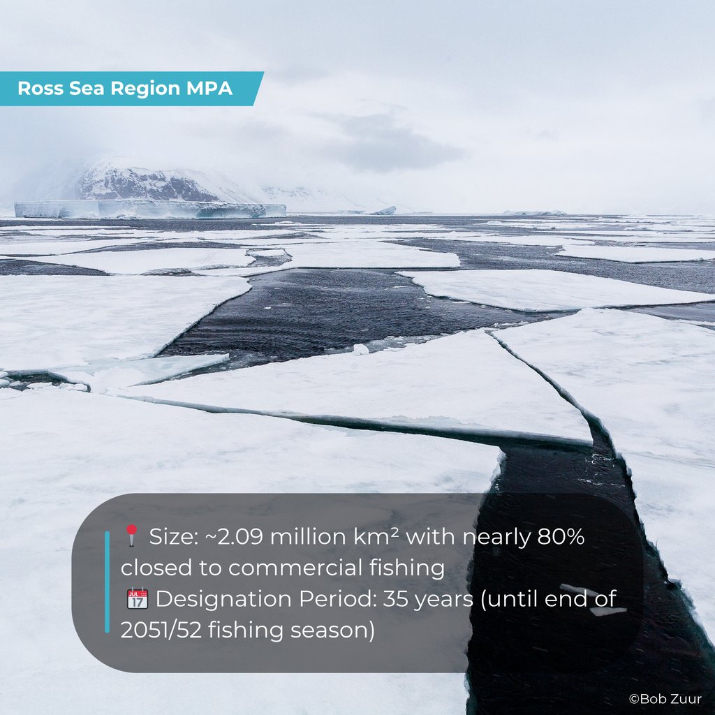 AntarcticaSouth's tweet image. 🌊🐧 Proposed by NZ & the US, adopted by CCAMLR in 2016 & in force since Dec 2017, the Ross Sea Region MPA is the world’s largest MPA (~2M km²). It protects biodiversity, key predator-prey links, toothfish habitats & supports vital polar science. ❄️🔬
asoc.org/campaign/ross-…