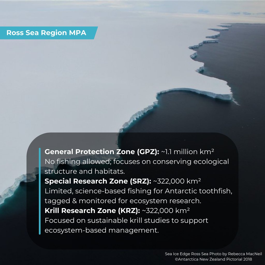 AntarcticaSouth's tweet image. 🌊🐧 Proposed by NZ & the US, adopted by CCAMLR in 2016 & in force since Dec 2017, the Ross Sea Region MPA is the world’s largest MPA (~2M km²). It protects biodiversity, key predator-prey links, toothfish habitats & supports vital polar science. ❄️🔬
asoc.org/campaign/ross-…