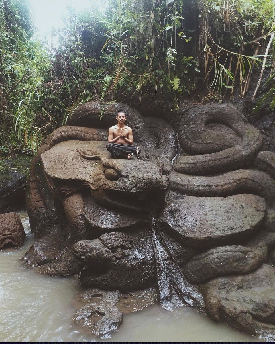 QDrop2450's tweet image. BEJI GRIYA WATERFALL, Bali 🐍
Beautiful but yet creepy? 🤷♀️