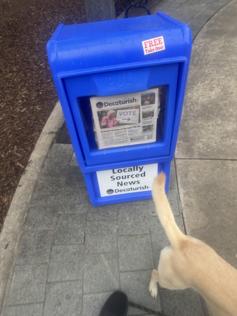 Your Next Best Friend tweet media