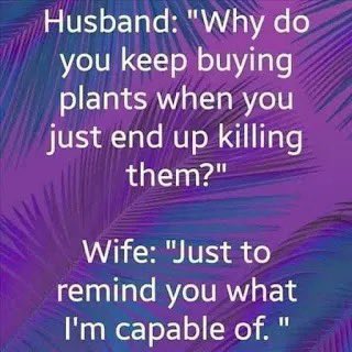 rjcidc55's tweet image. Good morning Gentlemen. This is a rare admission that one must take at face value. Women love beauty. Plants in a subtle way represent her nurturing instincts for beauty. If you’re noticing ripples in your marital pond and the plants aren’t budding you my wonder, did I do…