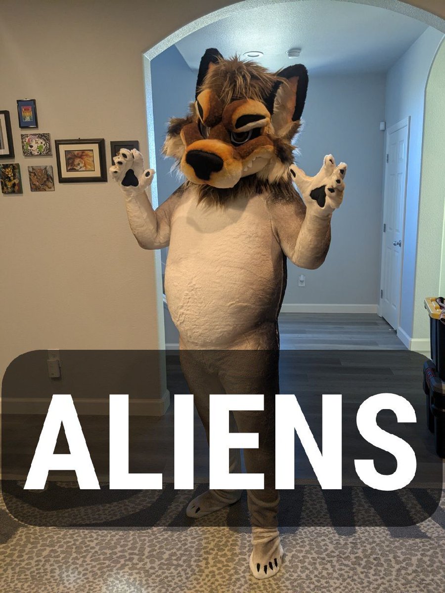 WolfyLion's tweet image. 