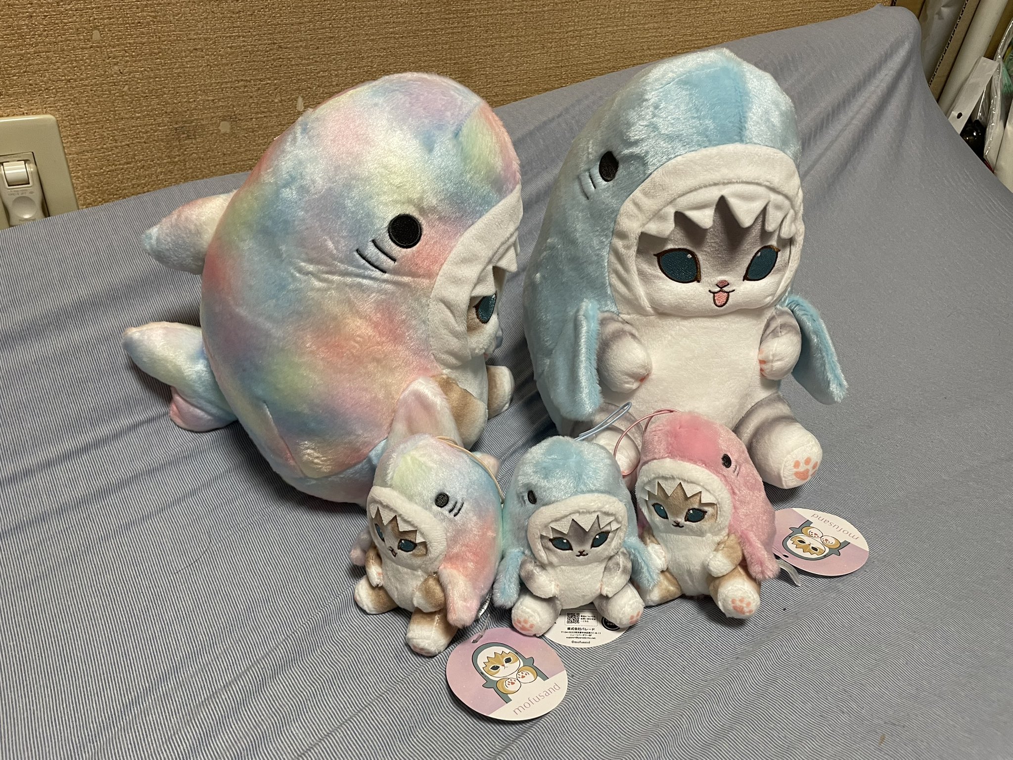 かわいいネコちゃんラトル 生後7ヶ月🧁7️⃣💗 ⁡ 体重は2.85キロになりました〜👏 少しずつ