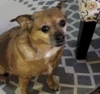 peachandcats's tweet image. The Target is $415 in 13 Days 🎯
It’s a “Good Wednesday” to Knock Out the Rent/Utilities Payments. So Vinnie & his senior Mom can relax & hav “No More Tears” of worry. Please Donate Right Now at
PayPal.me/BellaandVinnie @Vinnie958269385 #WWENXT “Coming Home”
Aquaman “Hump Day”