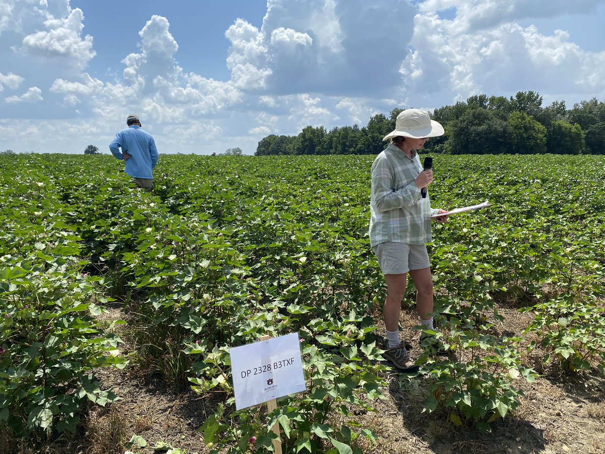 Eabfranc's tweet image. Great turn out at the East AL Crops Tour. Kudos to Christy Hicks and @BlakeLanton for putting this field tour together. @ACESedu @AuburnAg