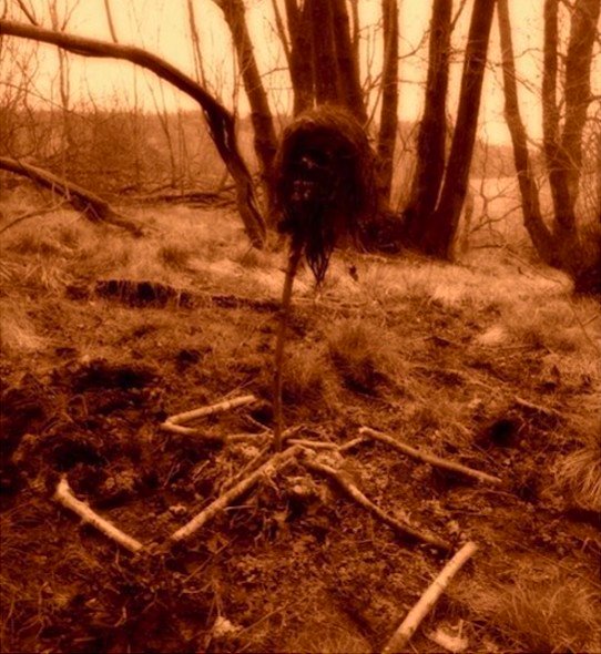 AxeATWAR's tweet image. Rotting skull and swastika. A piece of foresight for sure