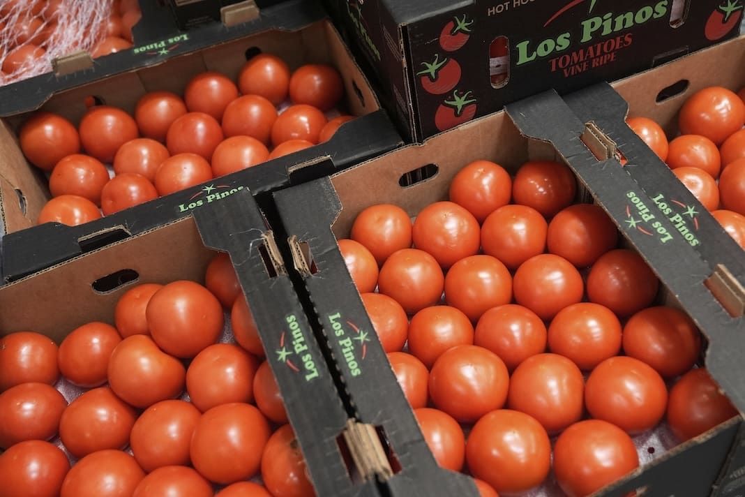 First_Focus's tweet image. Trump administration cuts to school nutrition program will hurt New Jersey kids, farmers | Josh Israel - The New Jersey Independent buff.ly/KxpLiNV