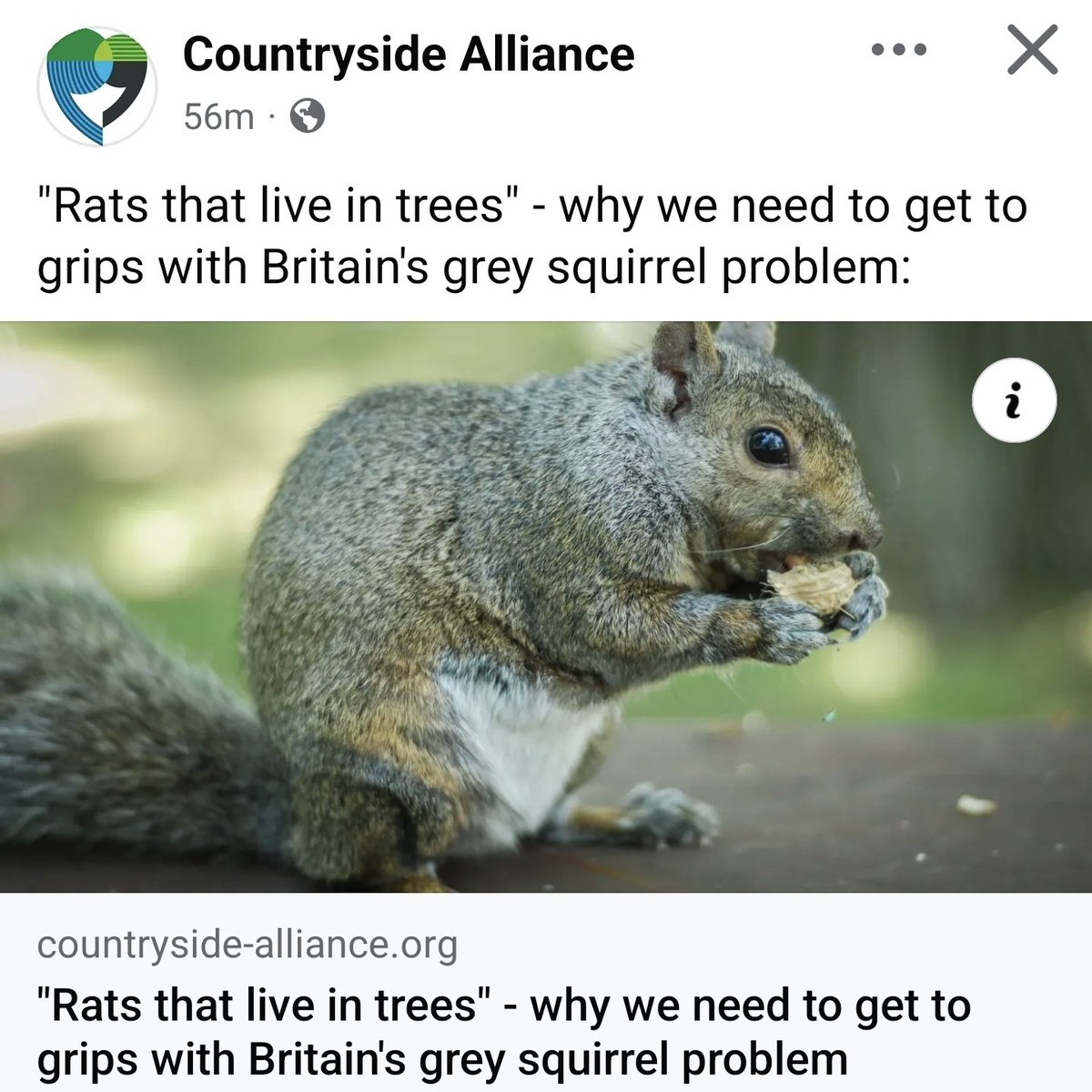 Once a Scruffy Cop (@scruffycop) on Twitter photo They are rodents, not rats. 🙄 <a href="/CAupdates/">Countryside Alliance</a> bias nibbling away🤔 <a href="/domdyer70/">dominic dyer</a> #wildlife <a href="/HsaChair/">HSA Chair</a> #makewildlifecount They are rodents, not rats. 🙄 <a href="/CAupdates/">Countryside Alliance</a> bias nibbling away🤔 <a href="/domdyer70/">dominic dyer</a> #wildlife <a href="/HsaChair/">HSA Chair</a> #makewildlifecount