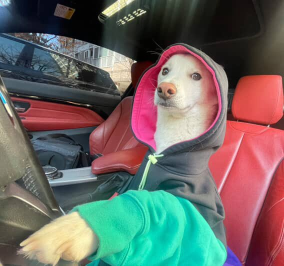 What's up dawg. Quick selfie before going out for a walk.