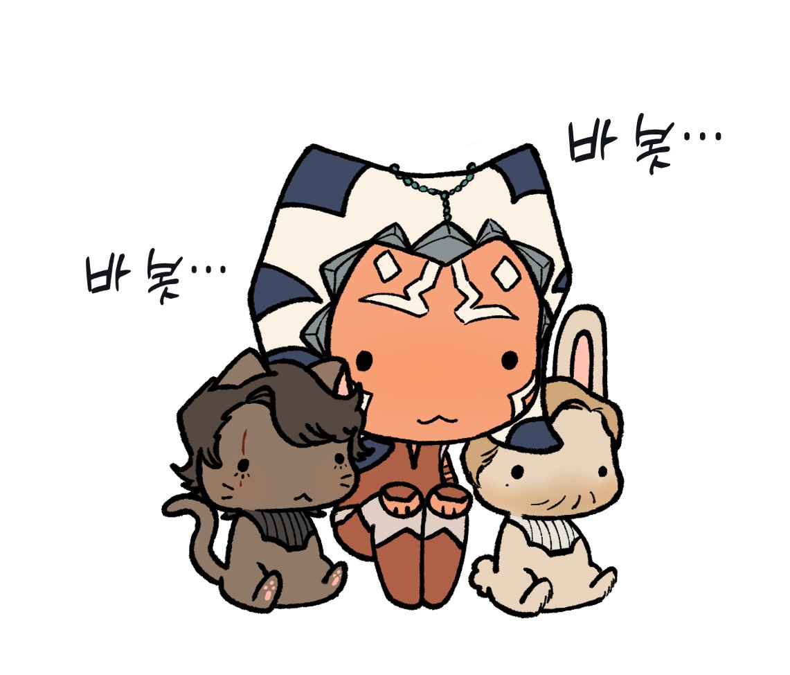 안옵솤 트레 🐱🐰