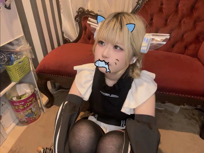 カワイイこんかへ屋さん　JELLY BEANSのツイート