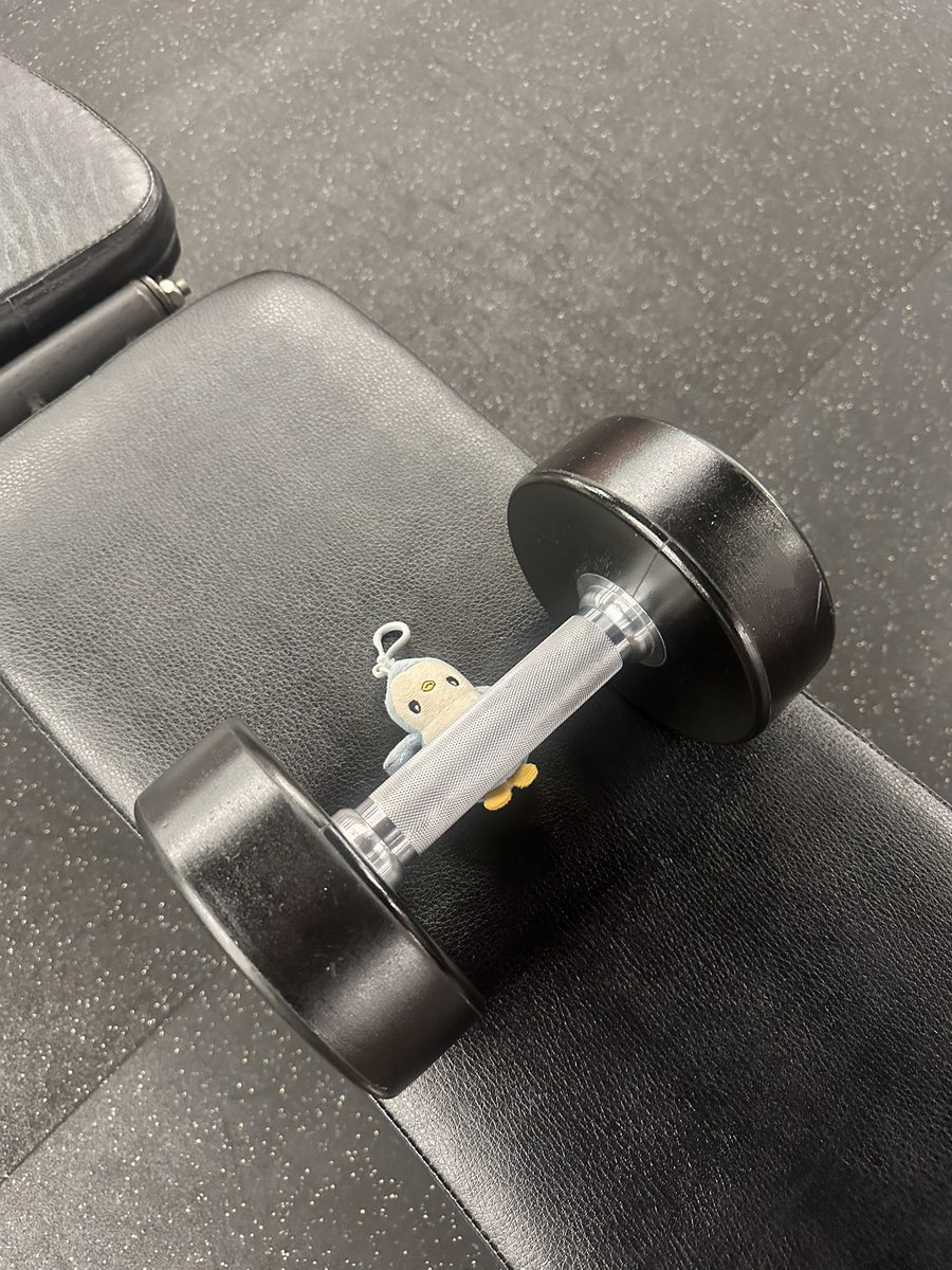 nonplayablecin's tweet image. daily reminder to focus on gains