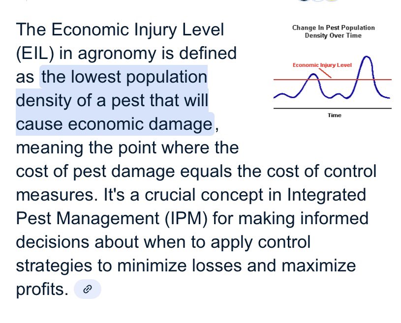 Beautiful morning to be out in the fields! With this hot and dry weather, aphids have been powering through some fields and are above Economic injury level. Make sure to keep an eye out for thresholds and talk to your local crop specialist about insecticide sprays!