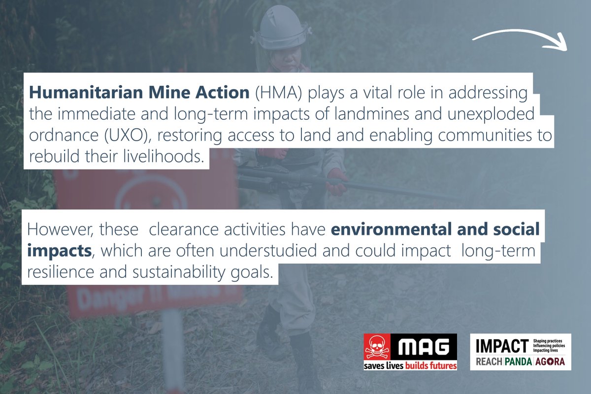 REACH_info's tweet image. Balancing safety and sustainability: environmental impacts of humanitarian mine action 

Study in partnership with @MAGsaveslives to understand the environmental and social impacts of clearance activities. 

🔗environmentinmineaction.org/media/logo/MAG…