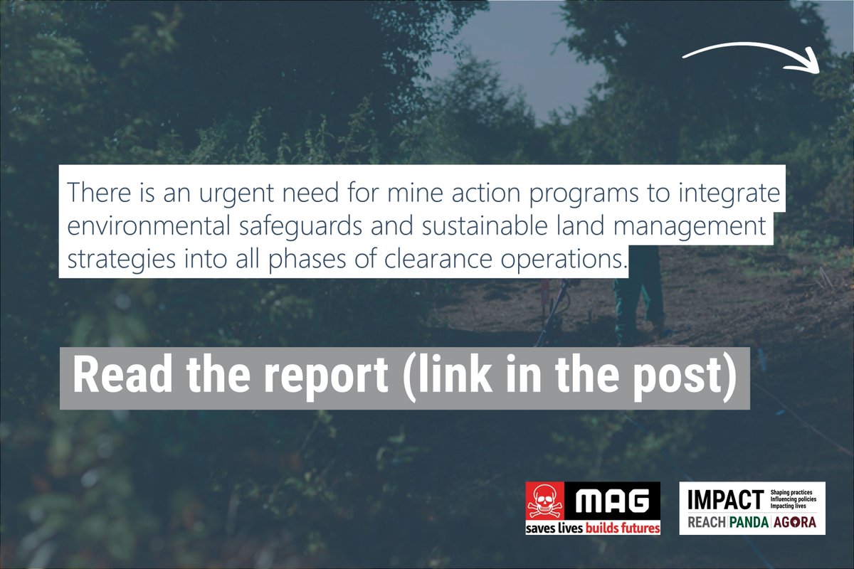 REACH (@reach_info) on Twitter photo Balancing safety and sustainability: environmental impacts of humanitarian mine action
Study in partnership with <a href="/MAGsaveslives/">MAG (Mines Advisory Group)</a> to understand the environmental and social impacts of clearance activities.
🔗environmentinmineaction.org/media/logo/MAG… Balancing safety and sustainability: environmental impacts of humanitarian mine action
Study in partnership with <a href="/MAGsaveslives/">MAG (Mines Advisory Group)</a> to understand the environmental and social impacts of clearance activities.
🔗environmentinmineaction.org/media/logo/MAG…