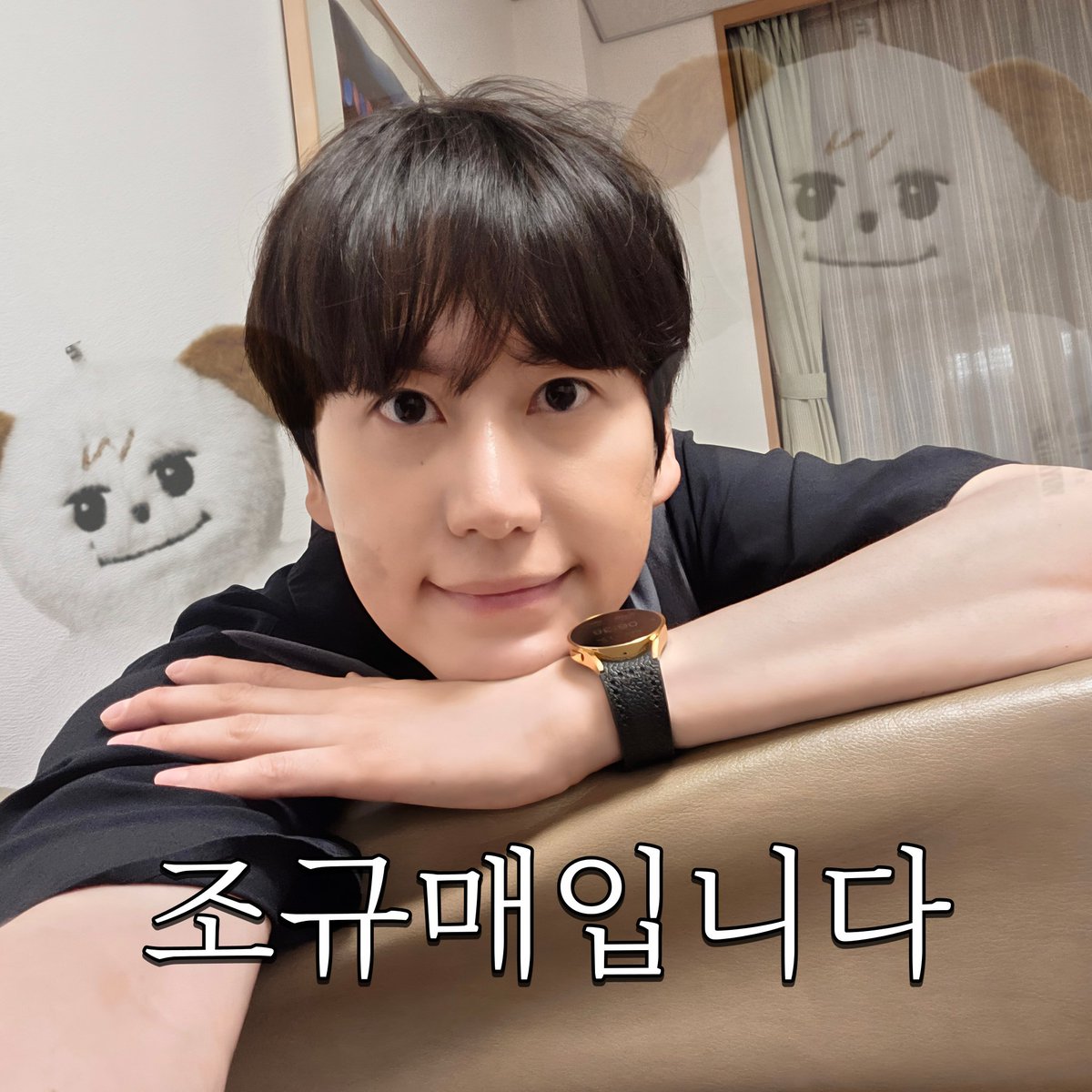 조규매입니다